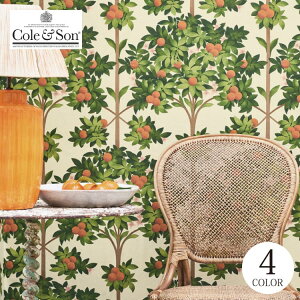 Aǎ CMX ؂̎ GKg [sA 킢 z ̂Ȃǎ Cole & Son/R[AhT (52cm×10m/[) 117/1001 S4F }`J[ u[ ubN NX DIY tH[