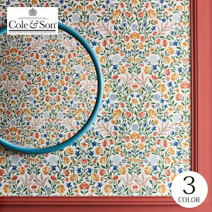 Aǎ CMX ԕ A 킢 ̂Ȃǎ Cole & Son/R[AhT (52cm×10m/[) 118/13029 S3F }`J[ m1[Pʁn