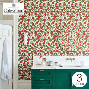 Aǎ CMX ԕ o A 킢  ̂Ȃǎ Cole & Son/R[AhT (52cm×10m/[) 118/7013 S3F bh CG[ ubN m1[Pʁn