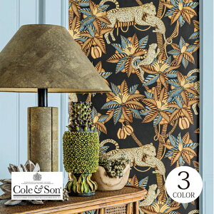Aǎ [ CMX Aj}  ԕ A qE ̂ȂAǎ Cole & Son/R[AhT (52cm×10m/[) S3F m1[Pʁn