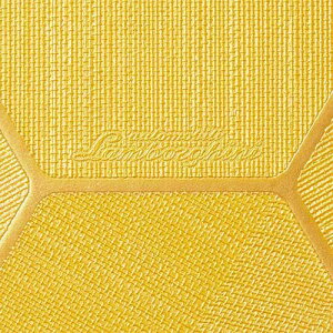 �A���ǎ� �C�^���A �����{���M�[�j �T���Q�c XSELECT �n�j�J���� �n�`�̑��� (70cm��) SGP1691 �� �S4��� DisEsagonoMurcielago �ǎ� �m10m�ȏ�1m�P�ʁn