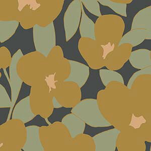 Aǎ eV[h tX ԕ t[ k  CASADECO/JTfRi53cm × 10mj S4F m1[Pʁn