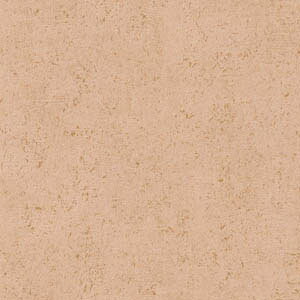 Aǎ eV[h tX n  h v[ CASADECO/JTfRi53cm × 10mjS6F m1[Pʁn