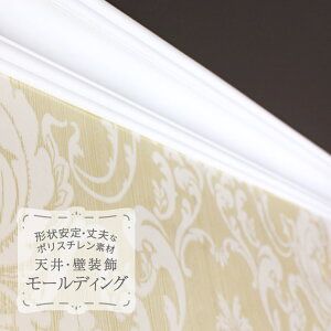 TQc [fBO p؂ |X` V 艏 ؍ 2mm̔P 1{n MM80