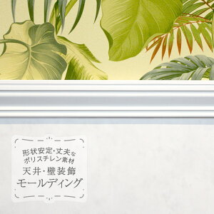 TQc [fBO p؂ |X`  } z ؍ 2.2mm̔P 1{n MM81