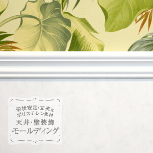 TQc [fBO p؂ |X`  } z ؍ 2.44mm̔P 1{n MM83