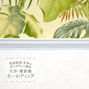 TQc [fBO p؂ |X` V 艏 ؍ 2mm̔P 1{n MM86