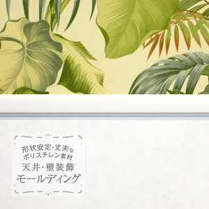 TQc [fBO p؂ |X`  } z ؍ 2mm̔P 1{n MM87