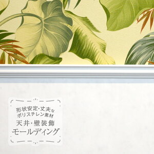 TQc [fBO p؂ |X` V 艏 ؍ 2mm̔P 1{n MM88