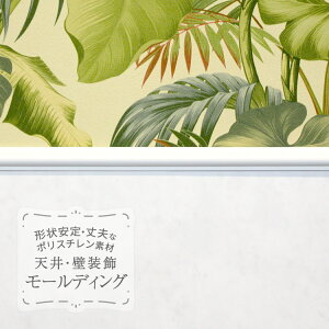 TQc [fBO p؂ |X`  } z ؍ 2.44m ǁm̔P 1{n MM90