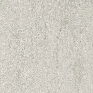 TQc σtB AebN ϖՐ h~ AebNR[g 122cm ؖڒ  m1mȏ10cmP ؔn VJA [uEbh Cv o[`  RW4841 RW4843 RW4844 RW4845 RW5419 RW5420