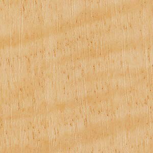 TQc σtB AebN Ebh 122cm ؖڒ Ƌ  ǎ m1mȏ10cmP ؂蔄n VJA TC4178 TC4205 TC4211 TC4262