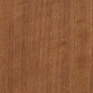 TQc σtB AebN Ebh 122cm ؖڒ Ƌ  ǎ m1mȏ10cmP ؂蔄n }zKj[ J phEN TC4277 TC4278 TC4296 TC5431