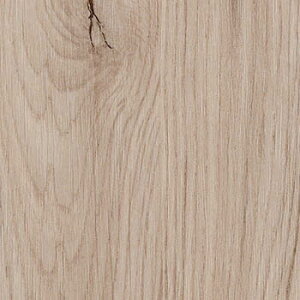 TQc σtB AebN Ebh 122cm ؖڒ ^C Ƌ  ǎ m1mȏ10cmP ؔn I[N TC4348 TC4360 TC4362 TC5088 TC5089 TC5090 TC5091 TC5092 TC5093 TC5121 TC5122 TC5123 TC5124