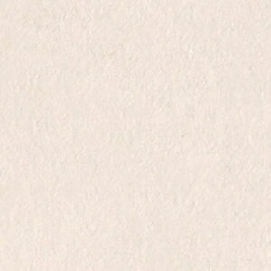 TQc σtB AebN X^bR 122cm Ζڒ  h蒲 m1mȏ10cmP ؂蔄n A[ovX^[ TN5658 TN5659 TN5660 TN5661