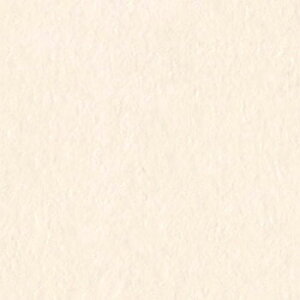 TQc σtB AebN X^bR 122cm Ζڒ  h蒲 m1mȏ10cmP ؂蔄n A[ovX^[ TN5658 TN5659 TN5660 TN5661