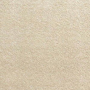 �y���r���[���T�z���O�^�X �K�i�}�b�g ���M�����[ ��45×22cm �S6�F �C�G���[ �O���[�� �l�C�r�[ �x�[�W�� �u���E�� �O���[