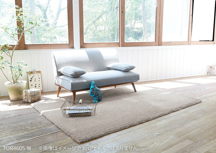 楽天市場】東リ ラグ 200×200 角型 防ダニ 床暖 床暖房対応 遊び毛なし 