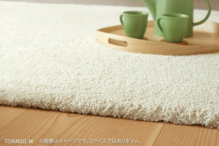 楽天市場】東リ ラグ 200×200 角型 防ダニ 床暖 床暖房対応 遊び毛なし 
