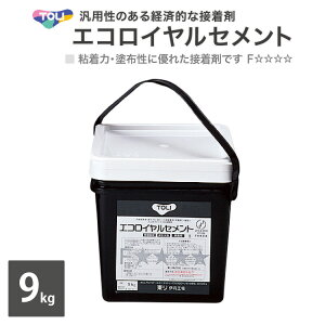  GRCZg  9kg NbVtA R|WV p ėp̂oϓI ڒ ERC-M m̔P 1ʁn