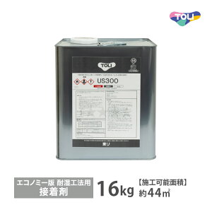  US300  16kg ώH@p ڒ US300 GRm~[ rjޗp US300-Lm̔P 1ʒPʁn