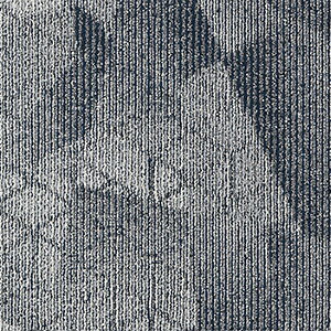 IAEgbgyz TQc ^CJ[ybg DT-7554 DT-7550 CgGXeeBbN/LIGHT AESTHETIC 50×50cm pԕi ݌Ɍ 􉽊w͗l 