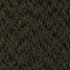 �y�T���v����p�y�[�W�z �T���Q�c �^�C���J�[�y�b�g DT-200T F-eco �V�����V���� DESIGN TILE �i�J�b�g�T���v���j