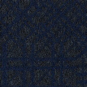 �y�T���v����p�y�[�W�z �T���Q�c �^�C���J�[�y�b�g DT-200T F-eco �V�����V���� DESIGN TILE �i�J�b�g�T���v���j