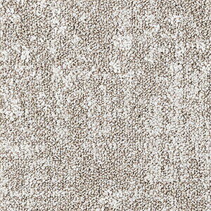 �T���Q�c �^�C���J�[�y�b�g DT-5000 F-eco �N���t�g�X�^�W�IF 50x50cm 50cm�p �S3�F �m�������� 16���ȏォ��n ���n �h�b�g