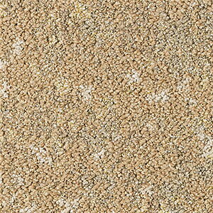 �y�T���v����p�y�[�W�z �T���Q�c �^�C���J�[�y�b�g DT-5040 F-eco �l�C�`���[���[�N�XF DESIGN TILE �i�J�b�g�T���v���j