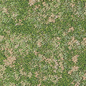 yTvpy[Wz TQc ^CJ[ybg DT-5040 F-eco lC`[[NXF DESIGN TILE iJbgTvj