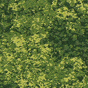 TQc ^CJ[ybg DT-6000 F-eco cWF DESIGN TILE 50x50cm 50cmp S5F m 12ȏォn Of[V a {뉀 In