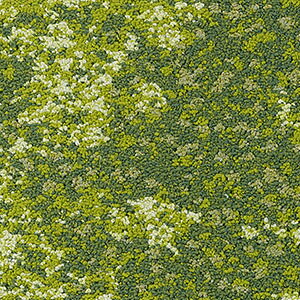 TQc ^CJ[ybg DT-6000 F-eco cWF DESIGN TILE 50x50cm 50cmp S5F m 12ȏォn Of[V a {뉀 In