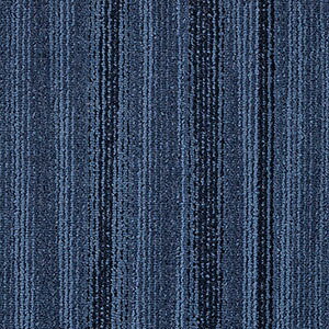 TQc ^CJ[ybg 􂦂 NT2850 D-eco t[CD C EF[u S3F 50×50 50cmp ^C plJ[ybgVv i`