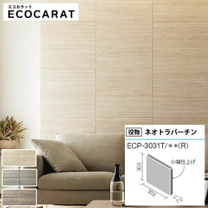 yő8000~OFFN[|}\z GRJbgvX lIgo[` NV ECOCARAT o 1P 303pЖʏ[dグiEj ECP-3031T/TVT1iRj TVT2iRj TVT3iRj Ζڒ  diy x[