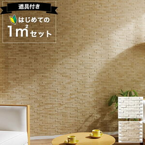 NV GRJbgvX INAX GRJbg ECPCARAT h ( y̒ ) 1 Zbg ECP-275NET/PLD1 PLD2 AC{[ x[W diy