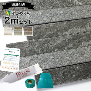 エコカラットプラス ディニタ リクシル ECPCARAT 石積み【初心者でも簡単】 2平米 セット ECP‐2520NET/DNT1 DNT2 DNT3 ホワイト グリーン ダークグレー 消臭 調湿 湿気対策 結露防止 シックハウス対策