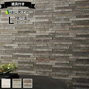 GRJbgvX fBj^ NV ECPCARAT ΐς݁yS҂łȒPz ǈ3600Zbg LECP]2520NET/DNT1 DNT2 DNT3 zCg O[ _[NO[ L  C΍ Ih~ VbNnEX