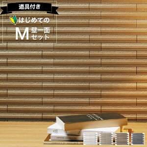 NV GRJbg OiX C ECPCARAT yS҂łȒPz ǈ2700 Zbg ECP]2515NET/GLN GRJbg zCg x[W uE _[NO[  diy