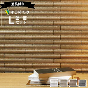 NV GRJbg OiX C ECPCARAT yS҂łȒPz ǈ3600 Zbg ECP]2515NET/GLN GRJbg zCg   diy zCg x[W uE _[NO[