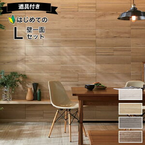 GRJbgvX re[WI[N NV ECOCARAT PLUS Ebh yS҂łȒPz ǈ3600 Zbg ECP-615/OAK1N OAK2N OAK3N OAK4N ؖڒ Ebh AC{[ x[W OCbVuE
