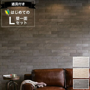 GRJbgvX tNH[c NVECOCARAT K yS҂łȒPz ǈ3600 Zbg ECP]375/RTZ1N RTZ2N RTZ3N CgO[ x[W _[NO[ DIY