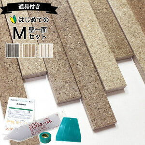 GRJbgvX Aq Ƃ NV ECPCARAT yS҂łȒPz ǈ2700Zbg M ECP]2520NET/TOR1 TOR2 TOR3 L  C΍ Ih~ VbNnEX΍ @ł钲 