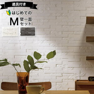 yő8000~OFFN[|ӍՁz NV GRJbgvX OiX ng ECOCARAT yS҂łȒPz ǈ2700 Zbg ECP]250/HRT1 HRT2 K jO  zCg O[ Lb` d