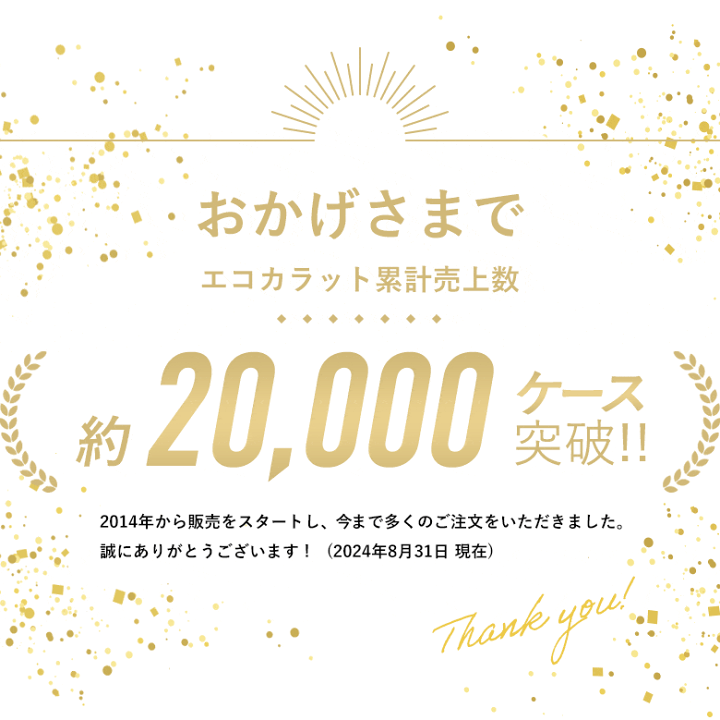 楽天市場】【最大8000円クーポン☆超Pバック祭】 リクシル エコ