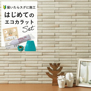 NV GRJbgvX INAX GRJbg ECOCARAT J[Ebh yS҂ȒPDIYz gC ֕ ʏ ANZgǃZbg 6 ECP-2515NET/CWD1N CWD2N O[ x[W L 