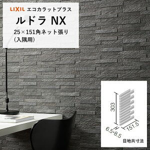 NV GRJbg INAX LIXIL GRJbgvX ECOCARAT h NX ECP-2515NB/LDN1 LDN2 LDN3 zCg O[ _[NO[ 25×151plbgipjL gC Ǎ ǖ ZttH[