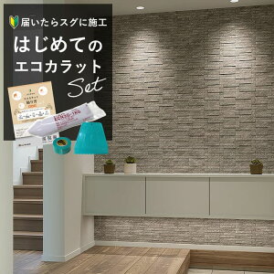 NV GRJbg INAX GRJbgvX ECOCARAT h NXyS҂ȒPDIYz gC ֕ ʏ ANZgǃZbg 6 ECP]2515NET/LDN1 LDN2 LDN3 zCg O[ _[NO[ 