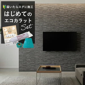 yő8000~OFFN[|BFz NV GRJbg INAX GRJbgvX ECOCARAT h NXyS҂ȒPDIYz gC ֕ ʏ ANZgǃZbg 6 ECP]2515NET/LDN1 LDN2 LDN3 