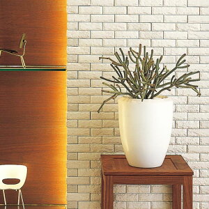 ���N�V�� �G�R�J���b�g�v���X INAX �G�R�J���b�g ECOCARAT �����h ( �΃n�c���� ) ECP-275NET/RO1 RO2 �o������ 1���P�ʔ̔� �A�C�{���[ �x�[�W�� �g�C�����L ���� ���ʏ� �ǖ� ������� DIY �z���C�g�C